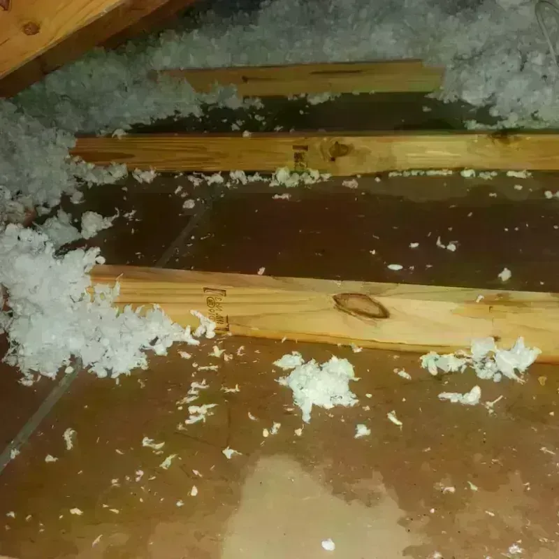 Attic Water Damage in Baxter, IA